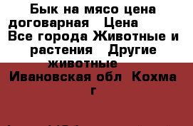 Бык на мясо цена договарная › Цена ­ 300 - Все города Животные и растения » Другие животные   . Ивановская обл.,Кохма г.